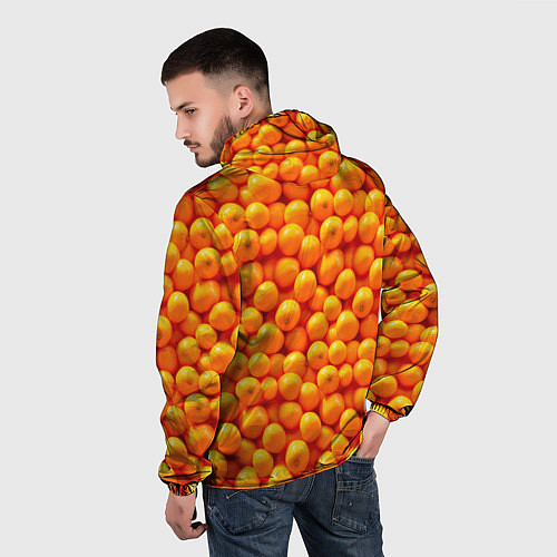 Мужская ветровка Новогодние мандаринки / 3D-Черный – фото 4