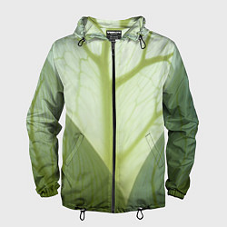 Ветровка с капюшоном мужская Макро съемка листа, цвет: 3D-черный