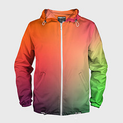 Мужская ветровка Color multicolored