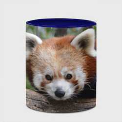 Кружка 3D Красная панда, цвет: 3D-белый + синий — фото 2
