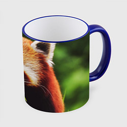 Кружка 3D Красная милая панда, цвет: 3D-синий кант