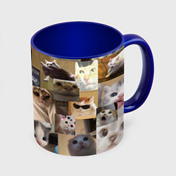 Кружка 3D Мемные котики, цвет: 3D-белый + синий