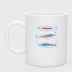 Кружка керамическая Три рыбы, форель, горбуша, чавыча, цвет: белый