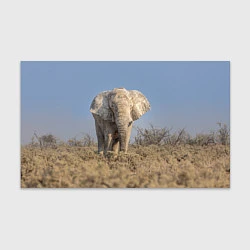 Бумага для упаковки Африканский белый слон, цвет: 3D-принт