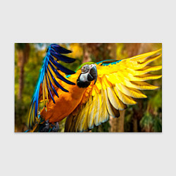 Бумага для упаковки Взлёт попугая, цвет: 3D-принт