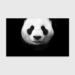Бумага для упаковки Взгляд панды, цвет: 3D-принт
