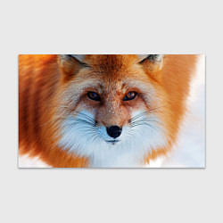 Бумага для упаковки Взгляд лисы, цвет: 3D-принт