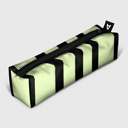 Пенал для ручек Color light green black line, цвет: 3D-принт