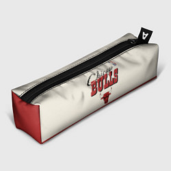 Пенал для ручек NBA Chicago Bulls vintage, цвет: 3D-принт