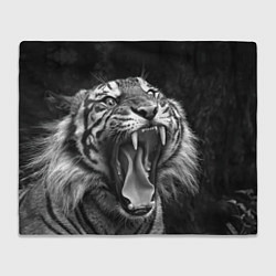 Плед флисовый Гнев тигра, цвет: 3D-велсофт