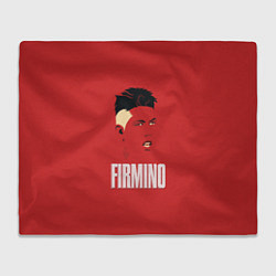 Плед флисовый Firmino, цвет: 3D-велсофт
