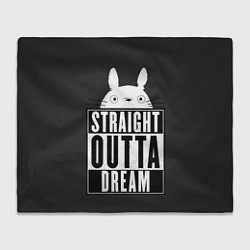 Плед флисовый Тоторо Straight outta dream, цвет: 3D-велсофт