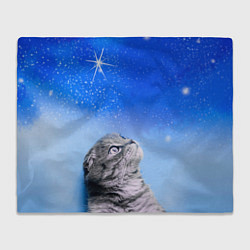 Плед флисовый Кот и космос, цвет: 3D-велсофт
