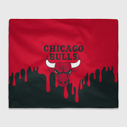 Плед флисовый Chicago Bulls, цвет: 3D-велсофт