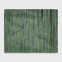 Плед флисовый Зеленый бамбук, цвет: 3D-велсофт