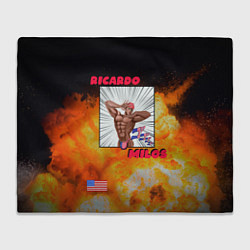 Плед флисовый Big Ricardo, цвет: 3D-велсофт
