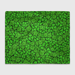 Плед флисовый Зелёный клевер, цвет: 3D-велсофт