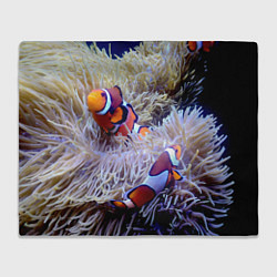 Плед флисовый Клоуны в актинии, цвет: 3D-велсофт