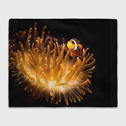 Плед флисовый Клоуны в актинии, цвет: 3D-велсофт