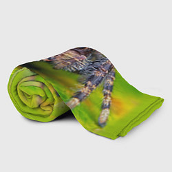 Плед флисовый ПАУК МАКРО, цвет: 3D-велсофт — фото 2