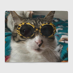 Плед флисовый Мем про кота, цвет: 3D-велсофт