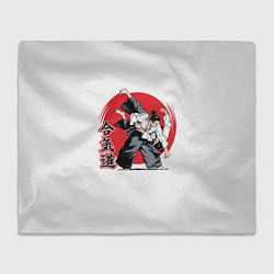 Плед флисовый Айкидо Aikido, цвет: 3D-велсофт