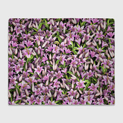 Плед флисовый Лилии цветут, цвет: 3D-велсофт