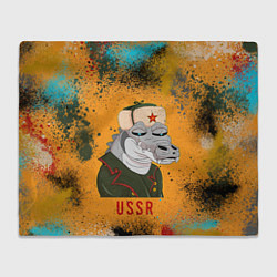 Плед флисовый Nft token art USSR, цвет: 3D-велсофт