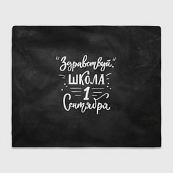 Плед флисовый Здравствуй школа, цвет: 3D-велсофт