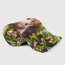 Плед флисовый Милый кролик, цвет: 3D-велсофт — фото 2