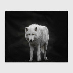 Плед флисовый Белый волк на темном фоне, цвет: 3D-велсофт