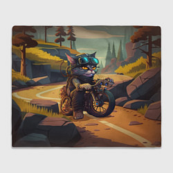 Плед флисовый Кот на мотоцикле - байкер, цвет: 3D-велсофт