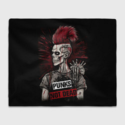 Плед флисовый Punks not dead, цвет: 3D-велсофт