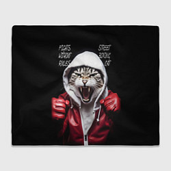 Плед флисовый Street boxing cat, цвет: 3D-велсофт
