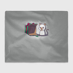Плед флисовый Подарок для котика, цвет: 3D-велсофт
