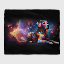 Плед флисовый Космическая собака, цвет: 3D-велсофт