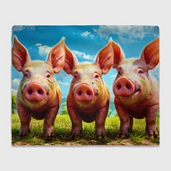 Плед Три поросенка