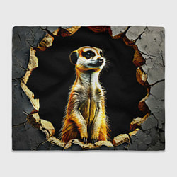 Плед флисовый Сурикат на черном, цвет: 3D-велсофт