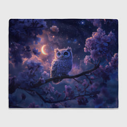 Плед флисовый Ночная сова на ветке, цвет: 3D-велсофт