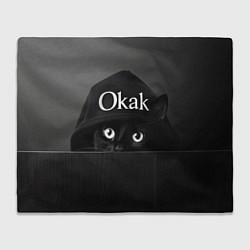 Плед флисовый Кот в капюшоне, окак, мем, цвет: 3D-велсофт