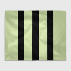 Плед флисовый Color light green black line, цвет: 3D-велсофт