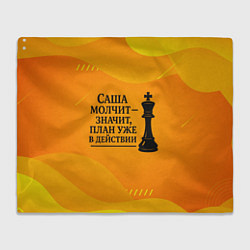 Плед флисовый Саша молчит план в действии, цвет: 3D-велсофт