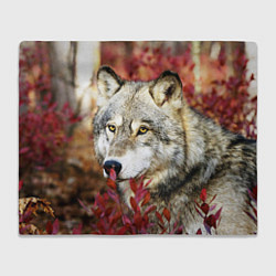 Плед флисовый Волк в кустах, цвет: 3D-велсофт