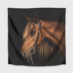 Скатерть для стола Взгляд коня, цвет: 3D-принт