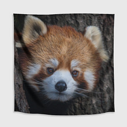 Скатерть для стола Крaсная панда, цвет: 3D-принт