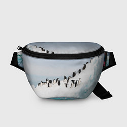 Поясная сумка Пингвины на айсберге, цвет: 3D-принт