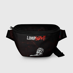 Поясная сумка Limp Bizkit, цвет: 3D-принт