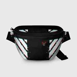 Поясная сумка ТИКТОКЕР - PAYTON MOORMEIE, цвет: 3D-принт