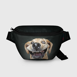Поясная сумка Улыбающаяся Собака, цвет: 3D-принт