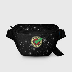 Поясная сумка Межпланетный Экспресс Футурама, цвет: 3D-принт
